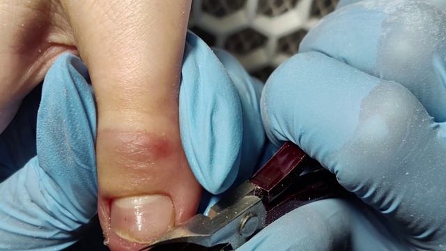 ВСЁ ВНИМАНИЕ ОДНОМУ! ХРОНИКА ИЗ 6 РАБОТ! КОРРЕКЦИЯ ДЛЯ ЛЕНЫ!