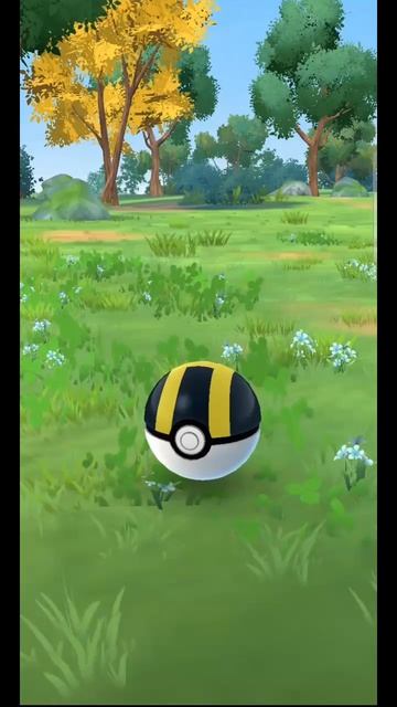 Pokémon GO-Shiny Chansey