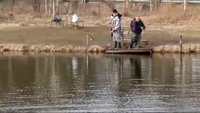 Светлые Горы Форель3 15.03.2025г.