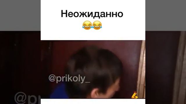 VID-20250315-WA0781