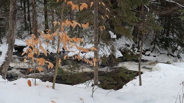 Красивая горная река. Шум воды. Зимний пейзаж. Расслабление.