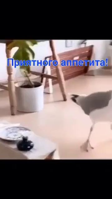 Доброе утро Всем☕💖