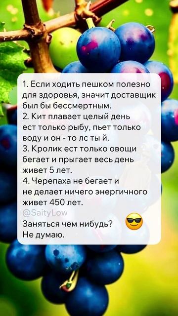 Это факты 😎 SaityLow