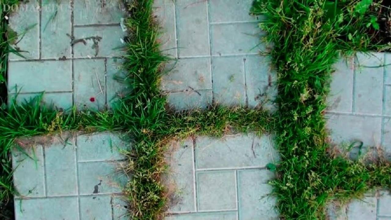 Мы живем в квартире. Но регулярно ездим на дачу, где у нас стоит небольшой домик, к которому ведет п