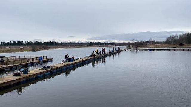 Добавляем 80кг форели в акваторию