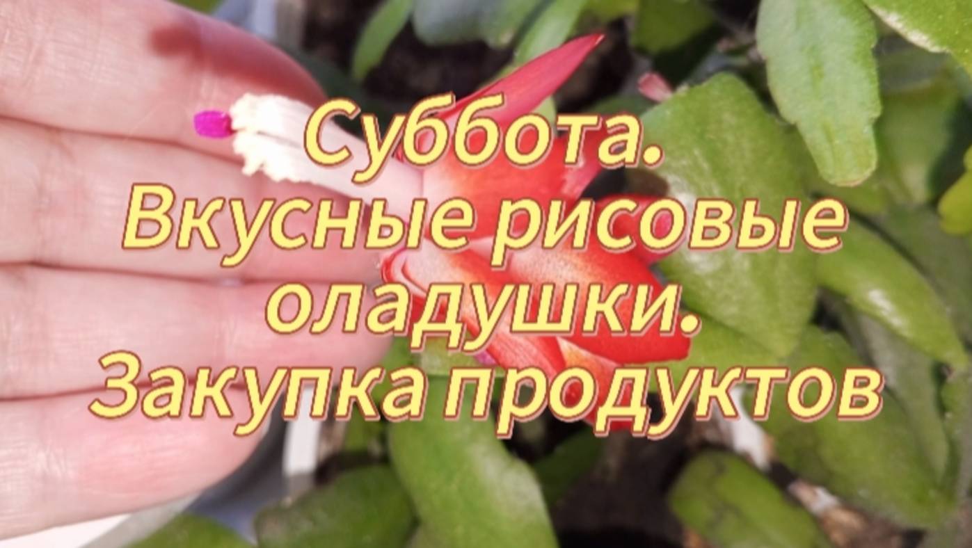 Суббота. Готовим рисовые оладушки, холодец, окрошку. Закупка продуктов