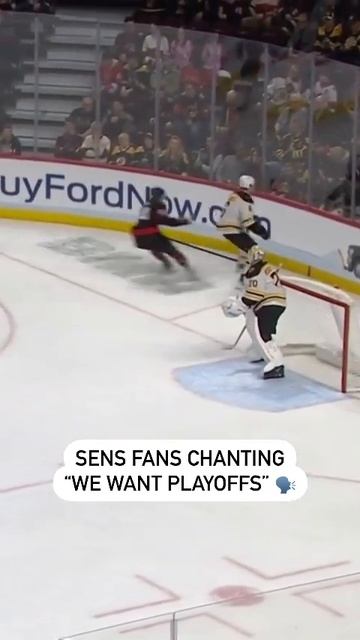 Senators Fans Chant WE WANT PLAYOFFS