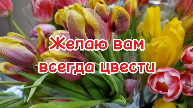 С 8 Марта 🌷 🌷 🌷 🌷 🌷