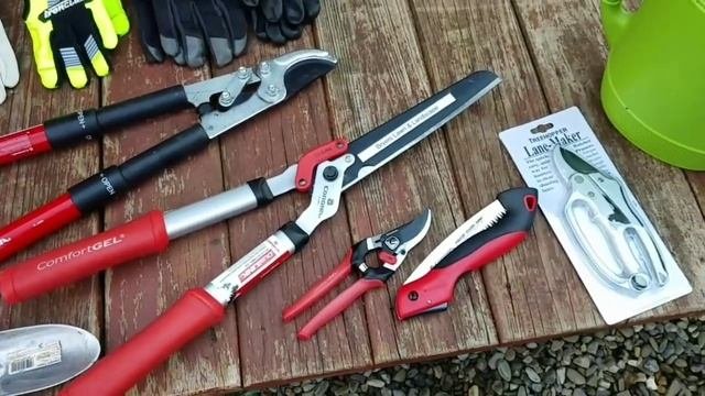 2019 Lawn Care Setup