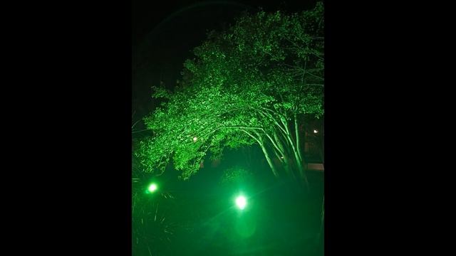 Парк имени Фрунзе (21)