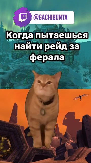 Когда пытаешься найти рейд за ферала #games #worldofwarcraft #playwow #warcraft #мем