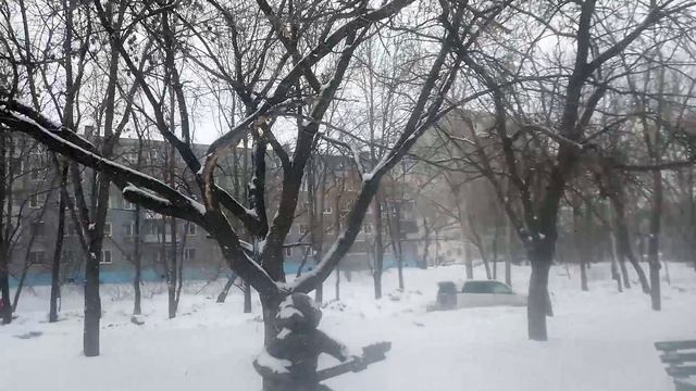 13.03.2025. Уссурийский бульвар, пруды, окончание прогулки.