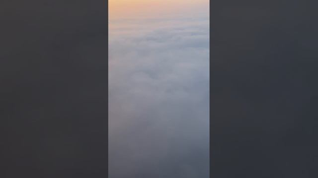 Русские в Дубае! март-2025 г.