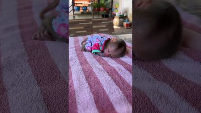 Макаш.😂🤗❤️