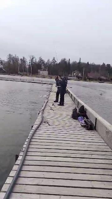 WhatsApp Video 2025-03-15 at 09.36.39