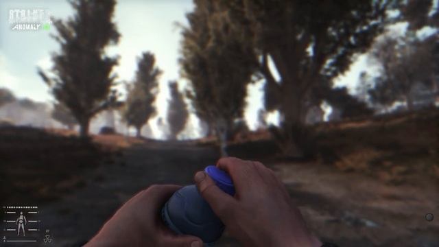 Stalker 2 vs Stalker Anomaly gamma - Details and Physics Comparison