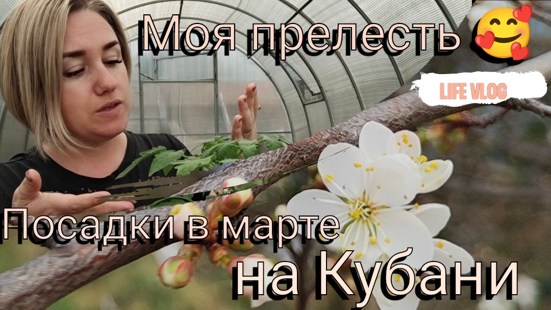 Влоги с ЮГА 🌞 Посадки в марте на Кубани 🥒🍅🌱 Моя прелесть 🥰 Нашла коса на камень 😌