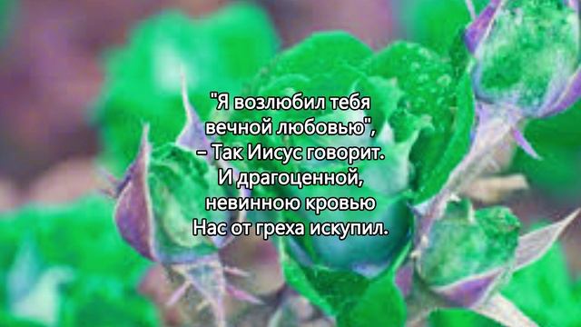 Вечной любовью тебя возлюбил Я