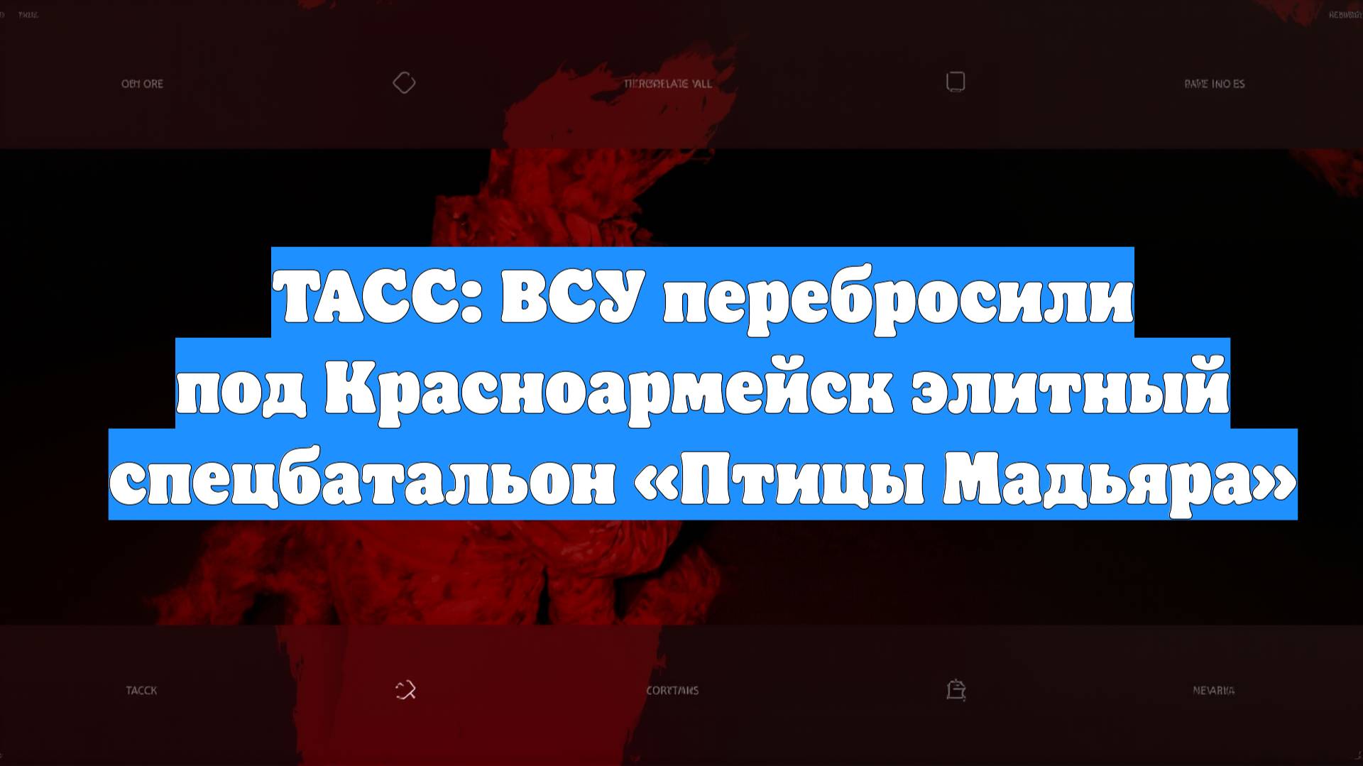 ТАСС: ВСУ перебросили под Красноармейск элитный спецбатальон «Птицы Мадьяра»