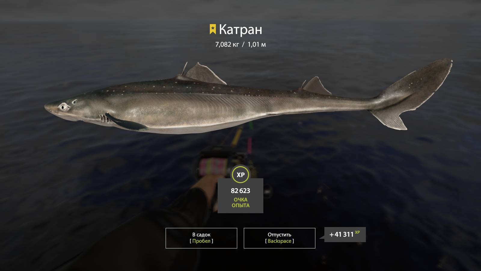 Трофей Катран