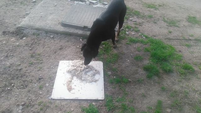 VID_20250313_155644
