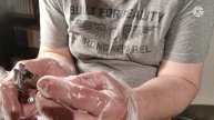 Das Pfeifenexperiment Teil 2