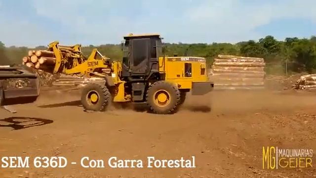 SEM 636D uso Forestal