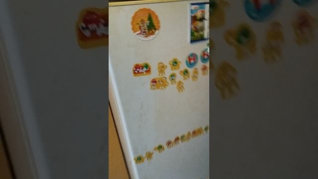 VID_20250315_065858.mp4