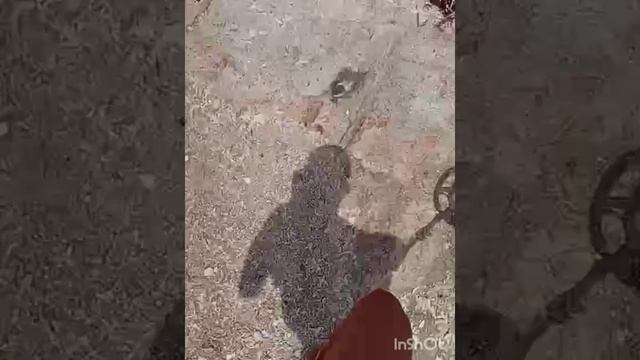 металлоискатель