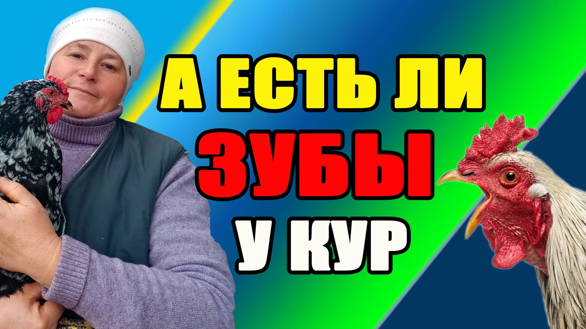 А есть ли ЗУБЫ у кур ?