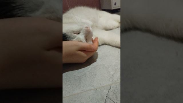 VID_20250314_210553.mp4