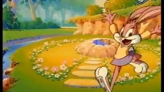 Tiny Toon Adventures Intro - Dutch (Boomerang version)