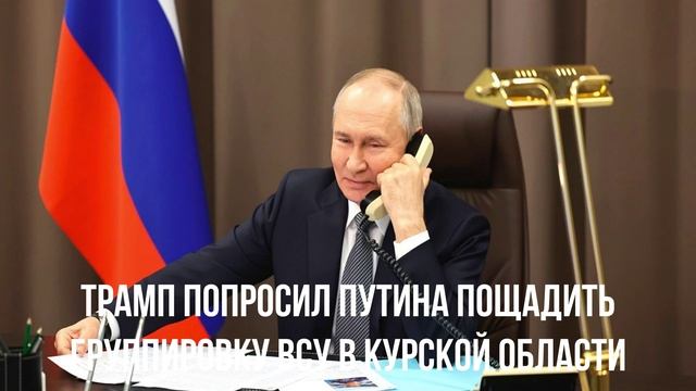 Трамп попросил Путина пощадить группировку ВСУ в Курской области