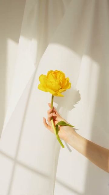 Holding Yellow Flowers