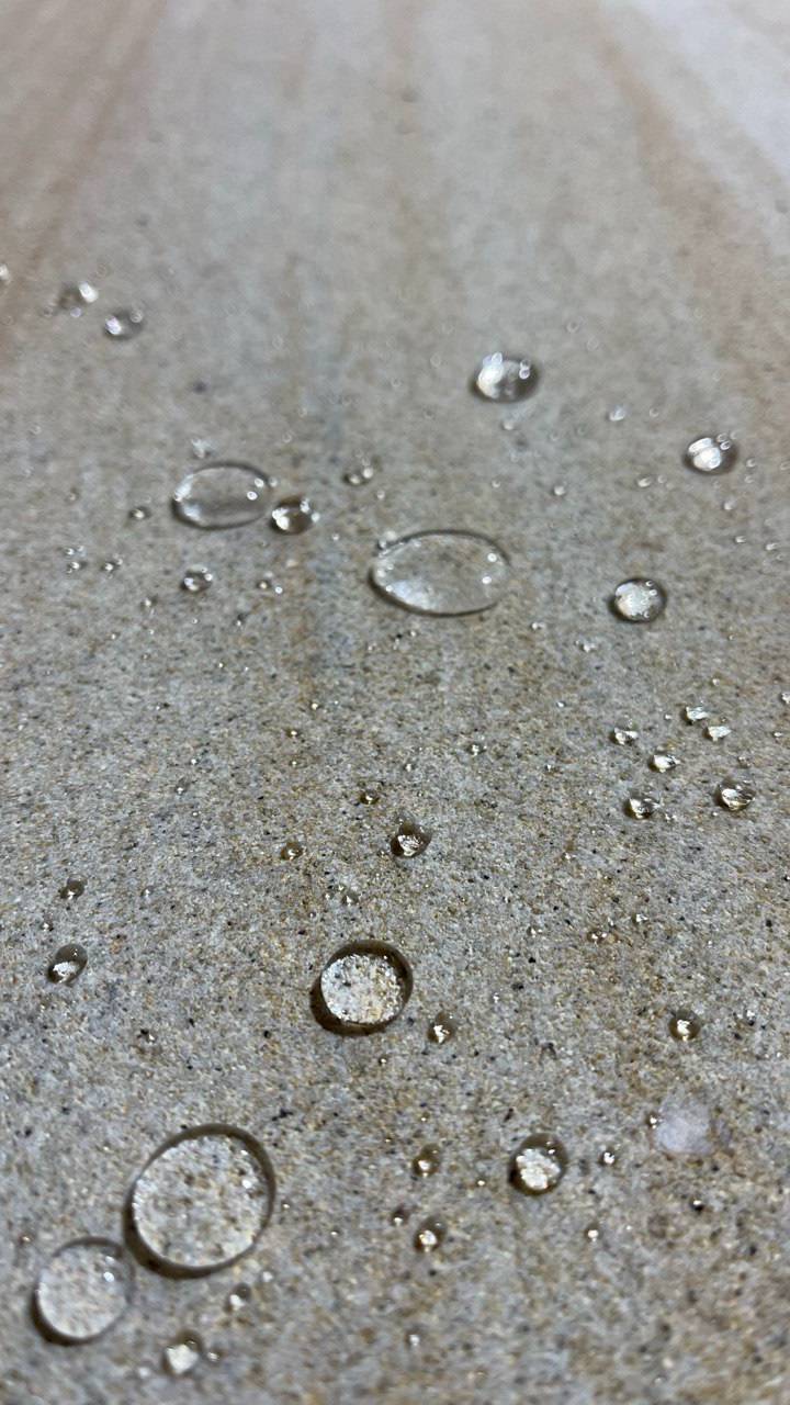 document_5377446187286687858