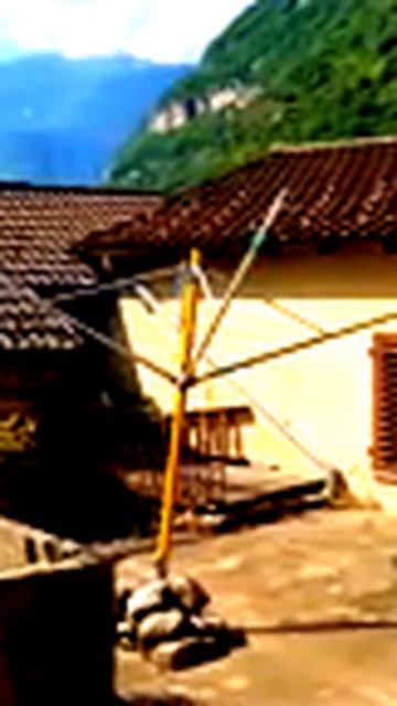 Поймано на лету