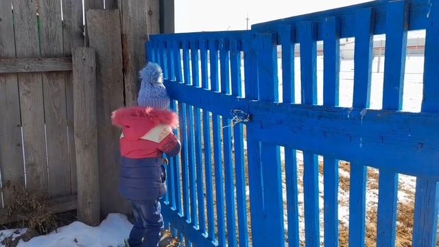 Аутизм//Сдали анализы