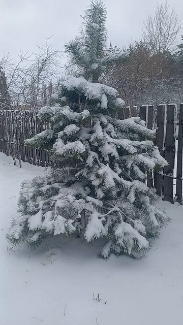 Последние (в этом году) зимние деньки