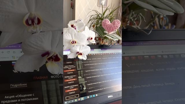 Отзыв о марафоне "7 Циклов очищения Души"