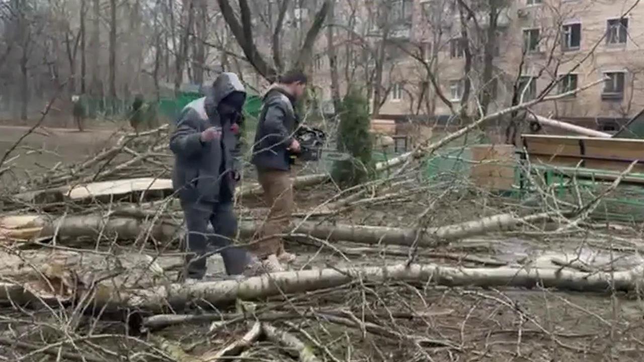 В Московском регионе спасатели устраняют последствия шторма