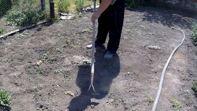 ЖИВЕМ В ДЕРЕВНЕ!ЗАЛИВАЕМ КАРТОШКУ!!БИТВА ЗА УРОЖАЙ ОТ РАССВЕТА ДО ЗАКАТА!!ЖАРА ПРОСТО УЖАС КАКОЙ-ТО!