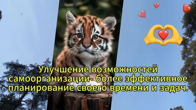 Концентрация нашего внимания