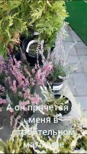 Вереск прячется в строительном магазине😂