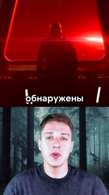 Гипотеза темного леса