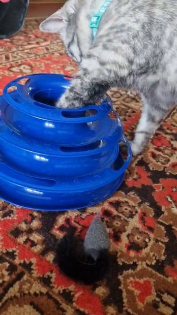 1000473414.mp4