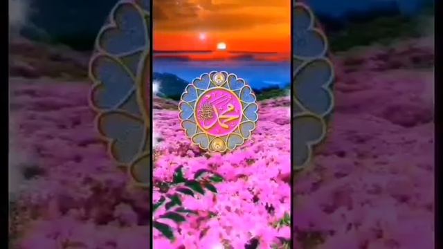 15-03-2025