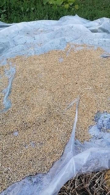 реализуй свои желания