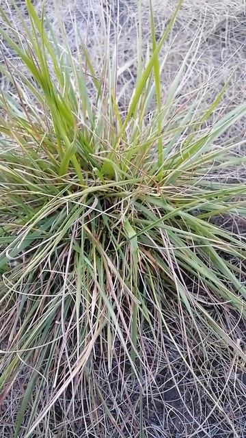 просто мысли вслух 4