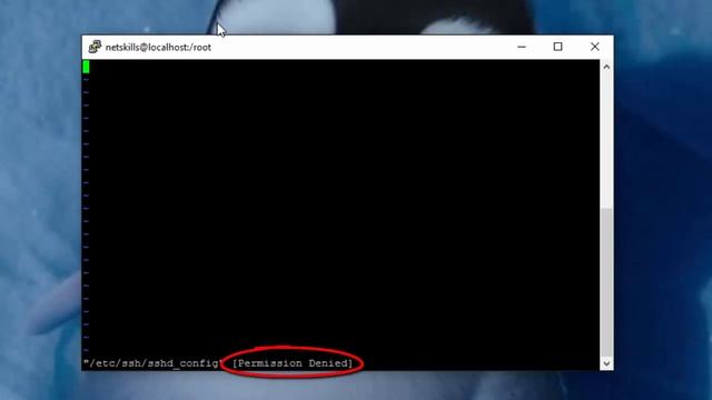 NetSkills. Видеоурок - 5.Linux для начинающих. Заведение пользователей