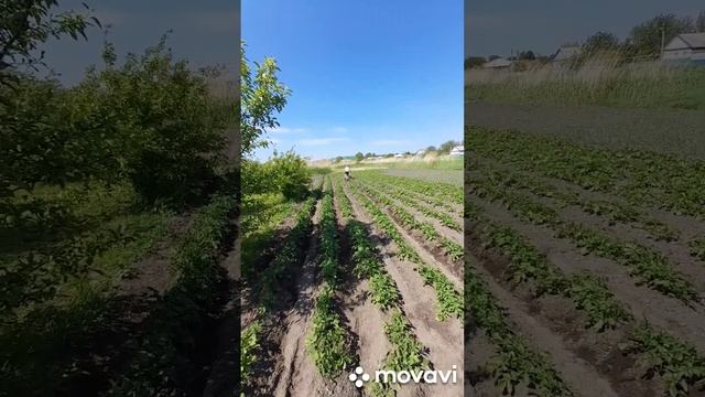 8 сентября 2023 г.